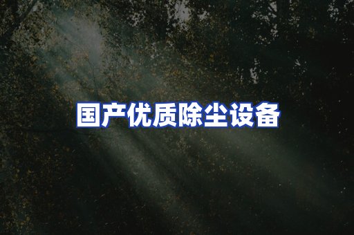 国产优质除尘设备