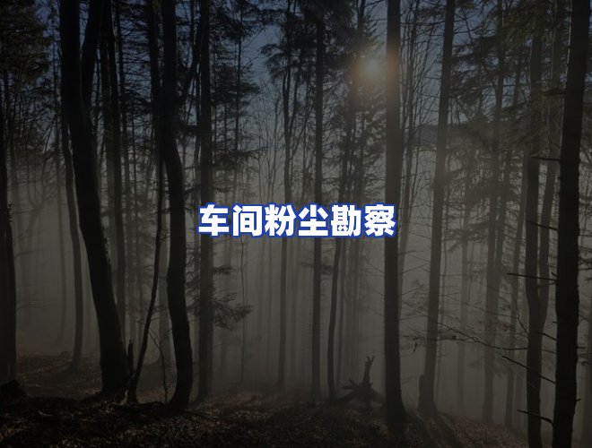 专业团队